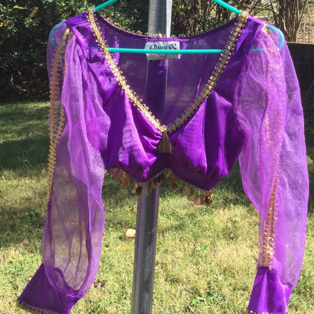 Genie, Bellydancer or gypsy crop top with metal coins and cold shoulder sleeves.